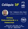 Sistema Endocanabinoide e a Homeostase